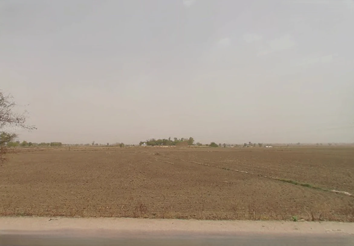 Beri - Jhajjar Marg, Haryana, India