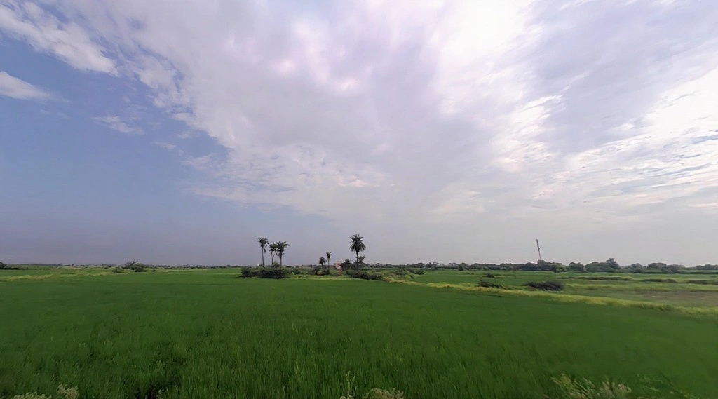 Uleta, Haryana 122103, India