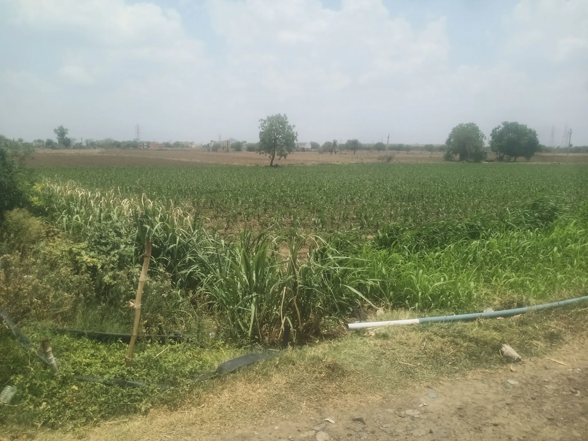 Rajoda, Dewas Nagar, Dewas, Madhya Pradesh, India