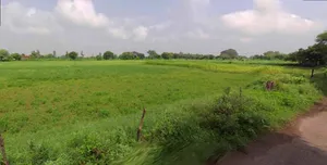 Chhatarpur, Madhya Pradesh 471001, India preview 3
