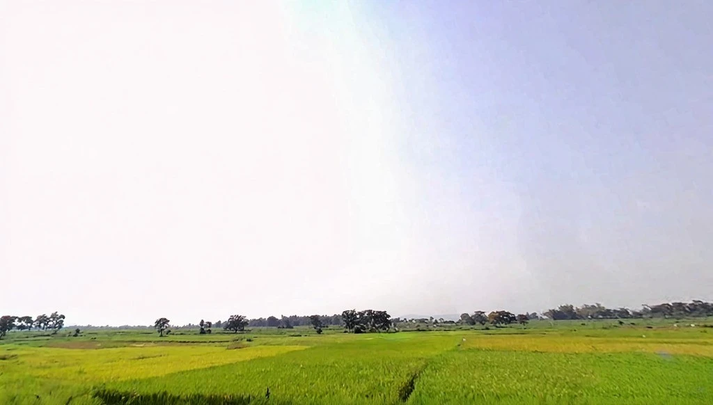 Dewri Mandir Rd, Diuri, Jharkhand 835225, India