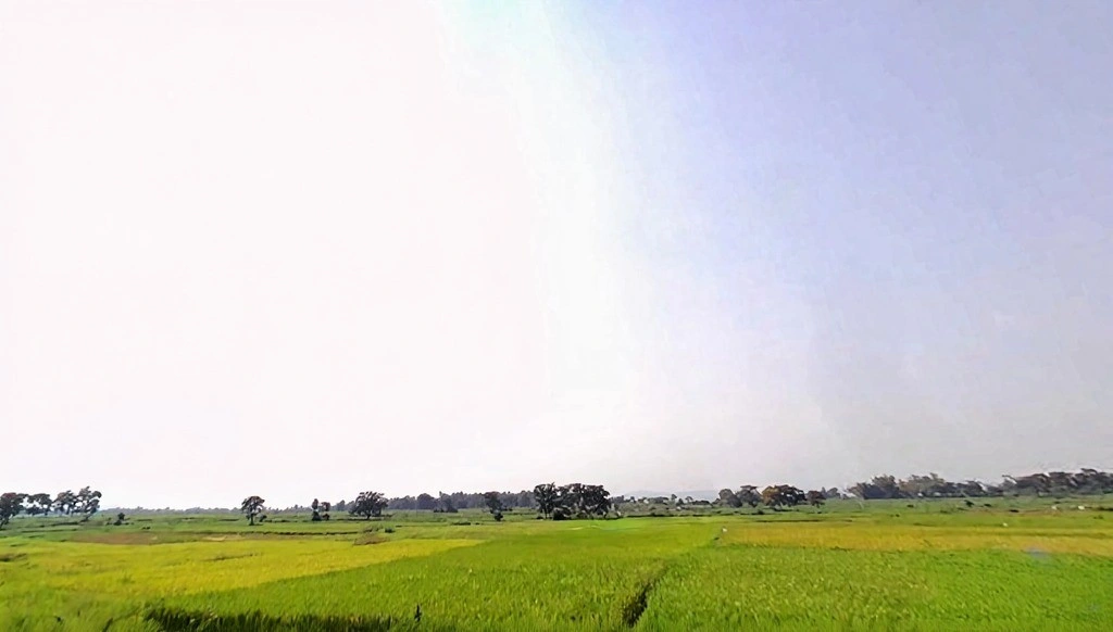 Dewri Mandir Rd, Diuri, Jharkhand 835225, India