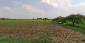 Haridwar, Uttarakhand, India preview 2