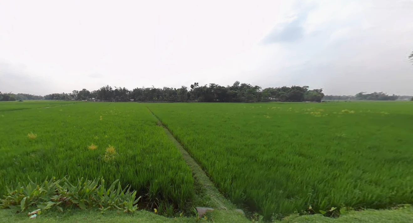 Jalpaiguri, West Bengal 735101, India preview 3