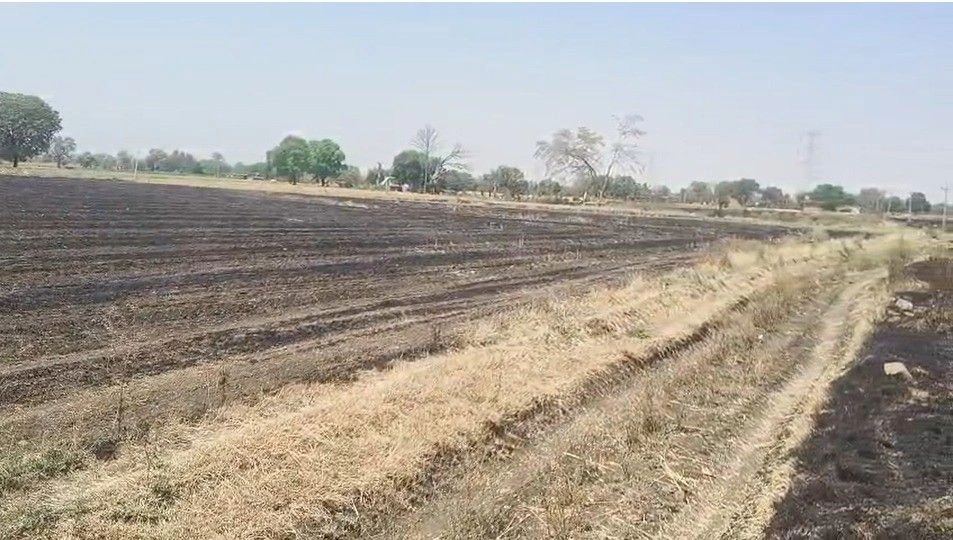 Jaora, Madhya Pradesh 457226, India