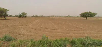 MJ9R+849, Khejra Ka Bas, Rajasthan, India preview 2