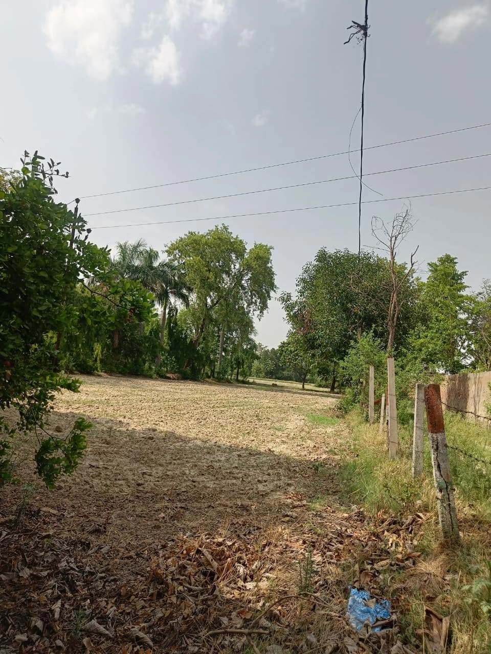 Gauhari, Uttar Pradesh 281401, India preview 3