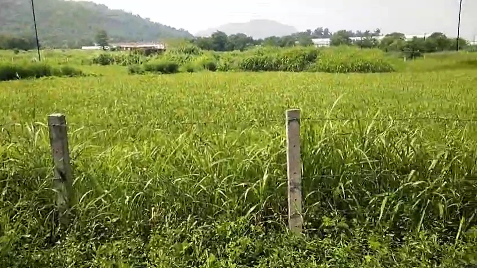 MRHW+7W Vasare, Palghar, Maharashtra, India