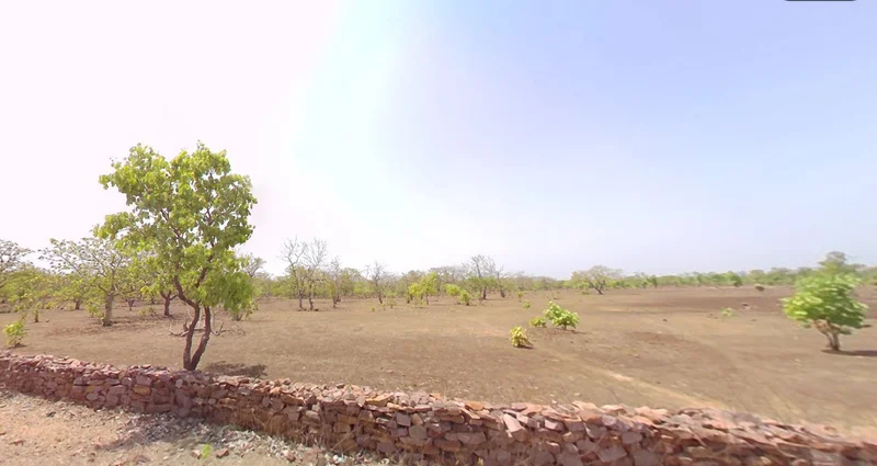 Manasa, Madhya Pradesh 458110, India preview 2