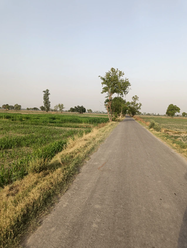 Ferozepur Rd, Sarabha Nagar, Ludhiana, Punjab, India