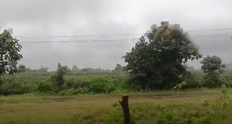 Begumganj, Raisen, Madhya Pradesh, India - Photo 2