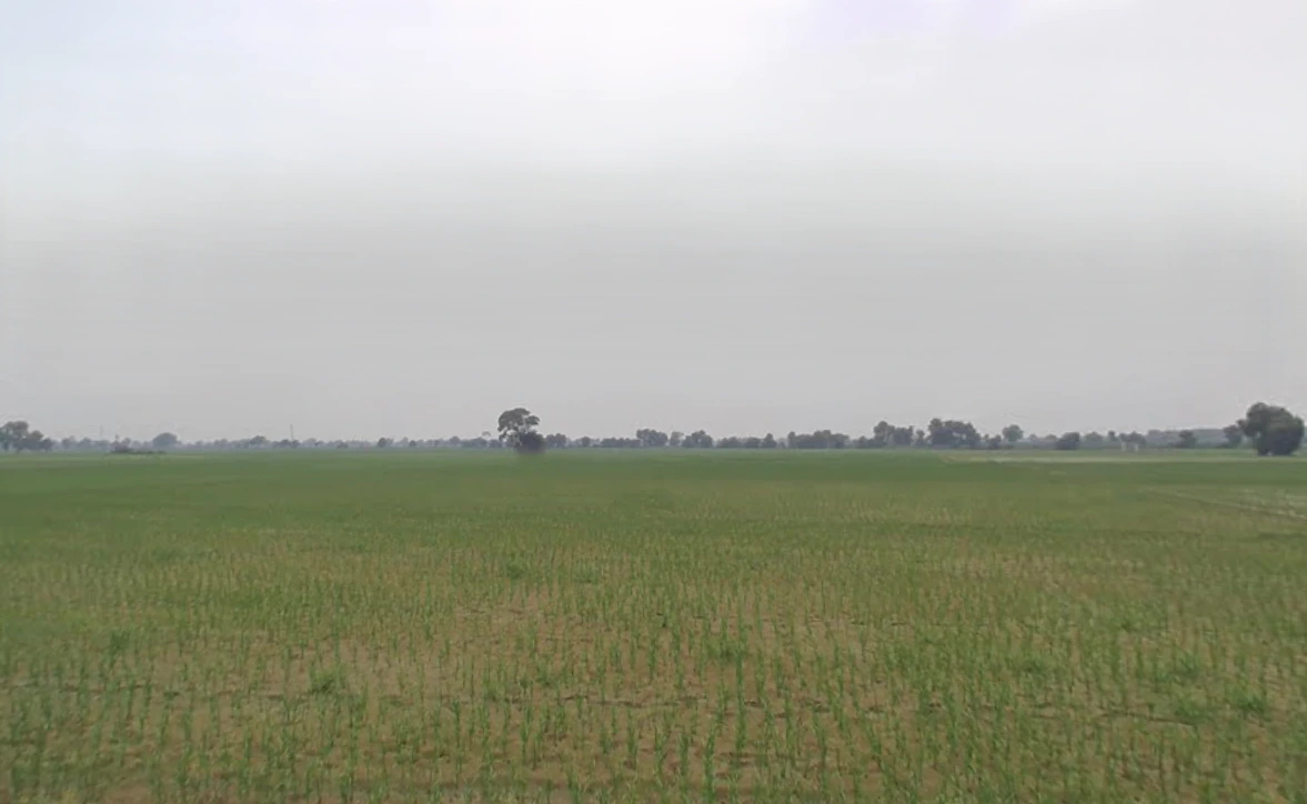 Bodiwali, Haryana 125050, India