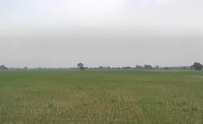 Bodiwali, Haryana 125050, India preview 3