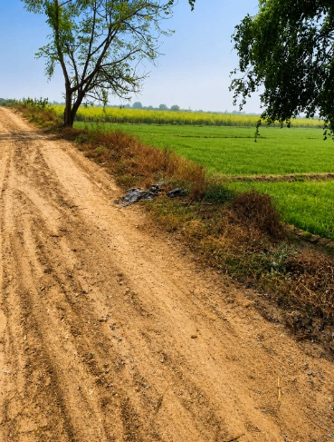 M9VG+33P, Hanumangarh, Lilanwali, Rajasthan 335065, India preview 3