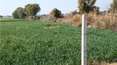 Ali Brahman, Haryana 121106, India preview 2