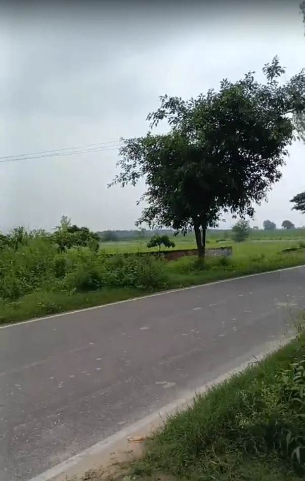 XJR9+2X2, Bhola Rd, Meerut, Pepla, Uttar Pradesh 250005, India