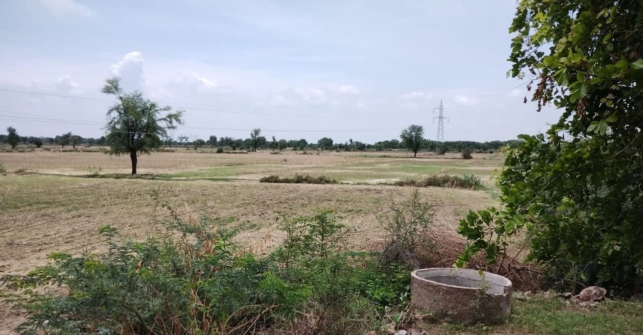 Sherpur, Rajasthan 301025, India