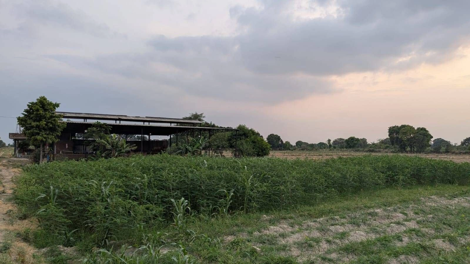 Jattari, Aligarh, Uttar Pradesh 202137, India