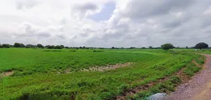 Rewari, Haryana 123401, India preview 2