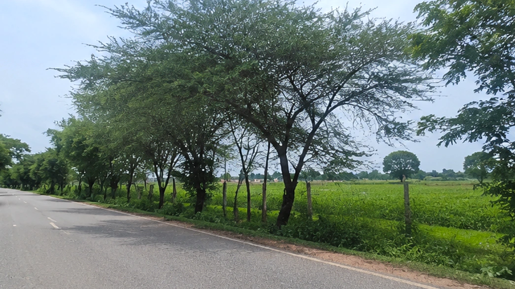 Surwaya, Shivpuri, Madhya Pradesh 473551, India