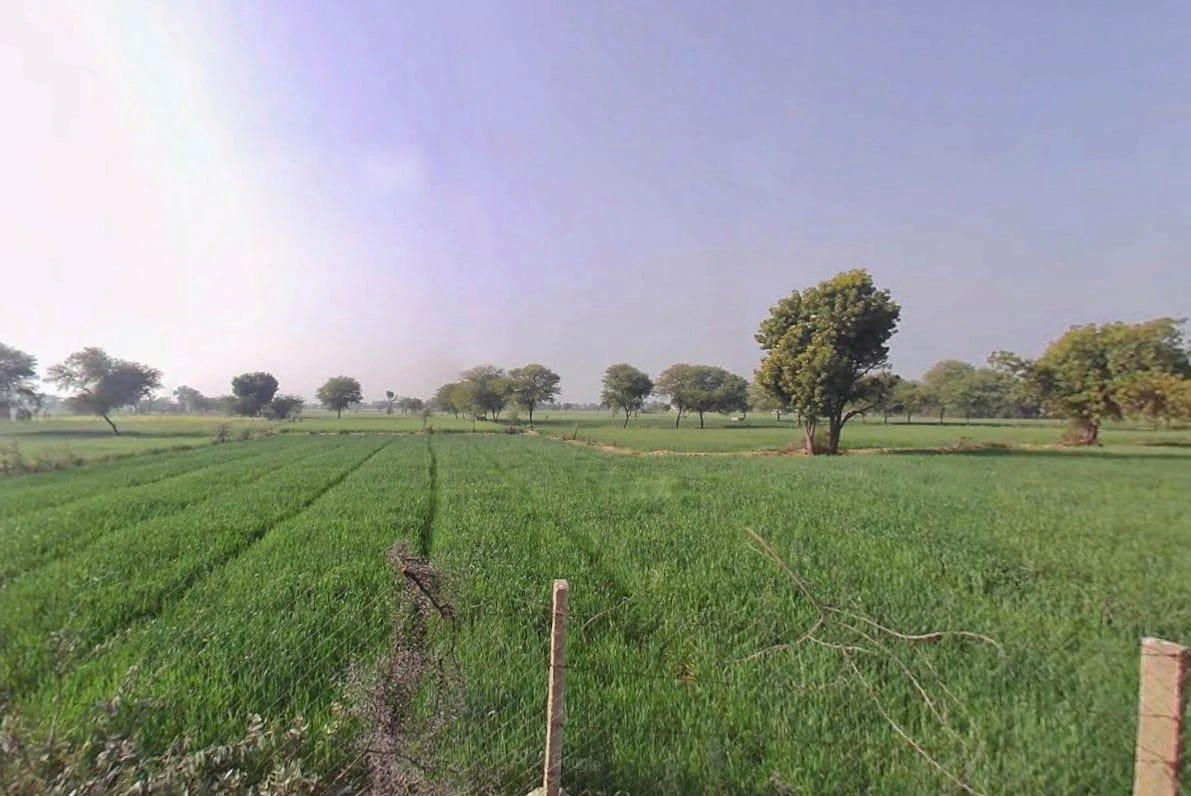 Q6F8+8GP, Lawan, Purbiyawas, Rajasthan 303004, India