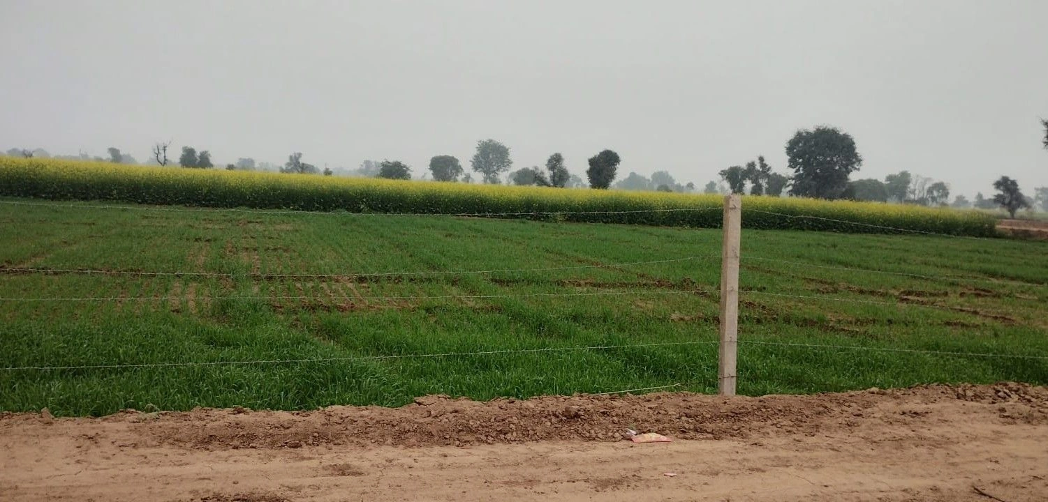 Tijara, Rajasthan 301411, India