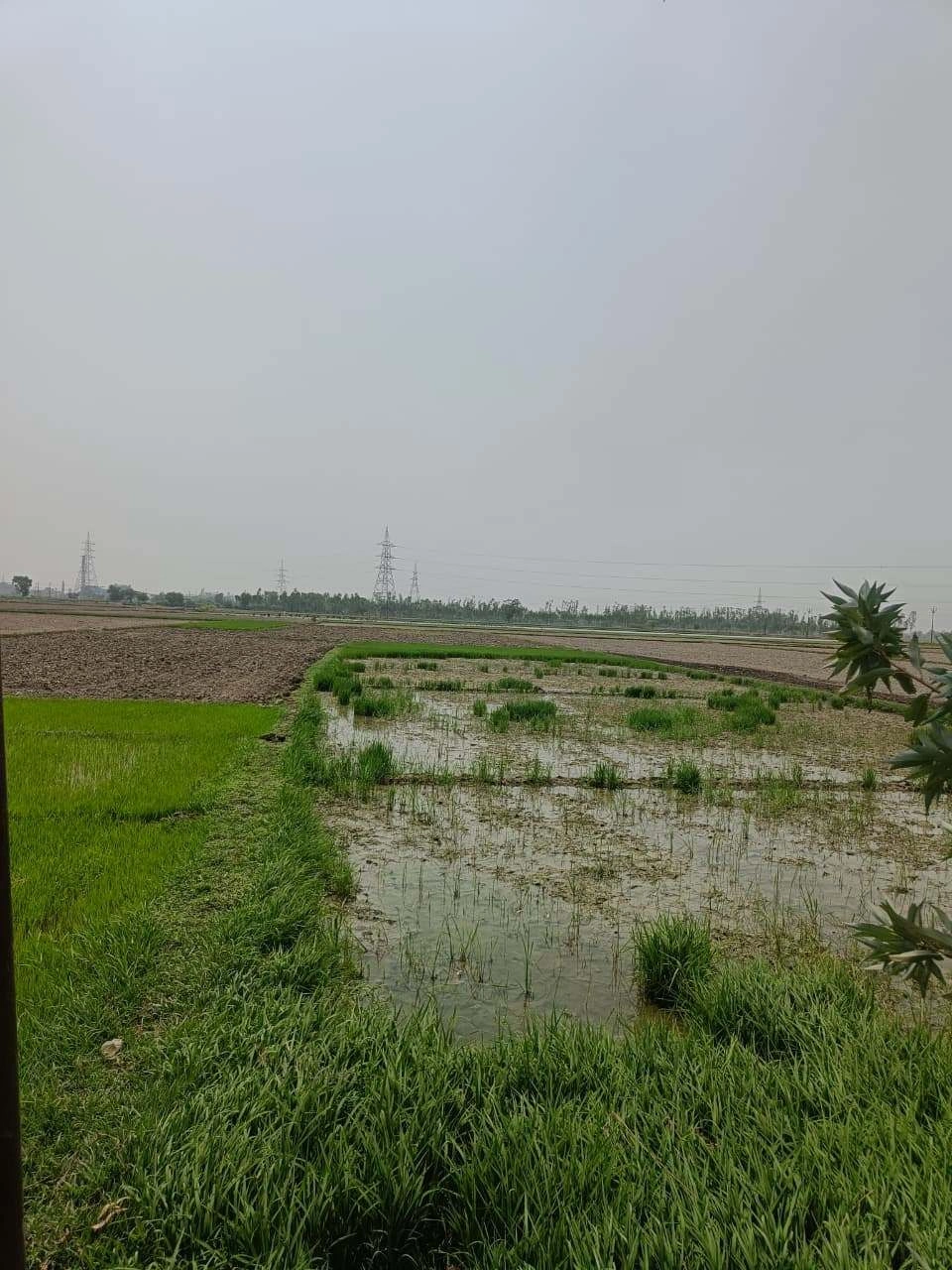 Sahar, Uttar Pradesh, India