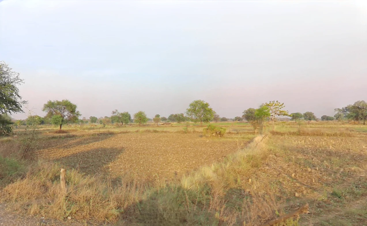 Gatoura, Chhattisgarh 495550, India