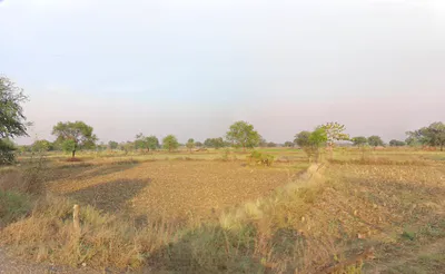 Gatoura, Chhattisgarh 495550, India preview 3