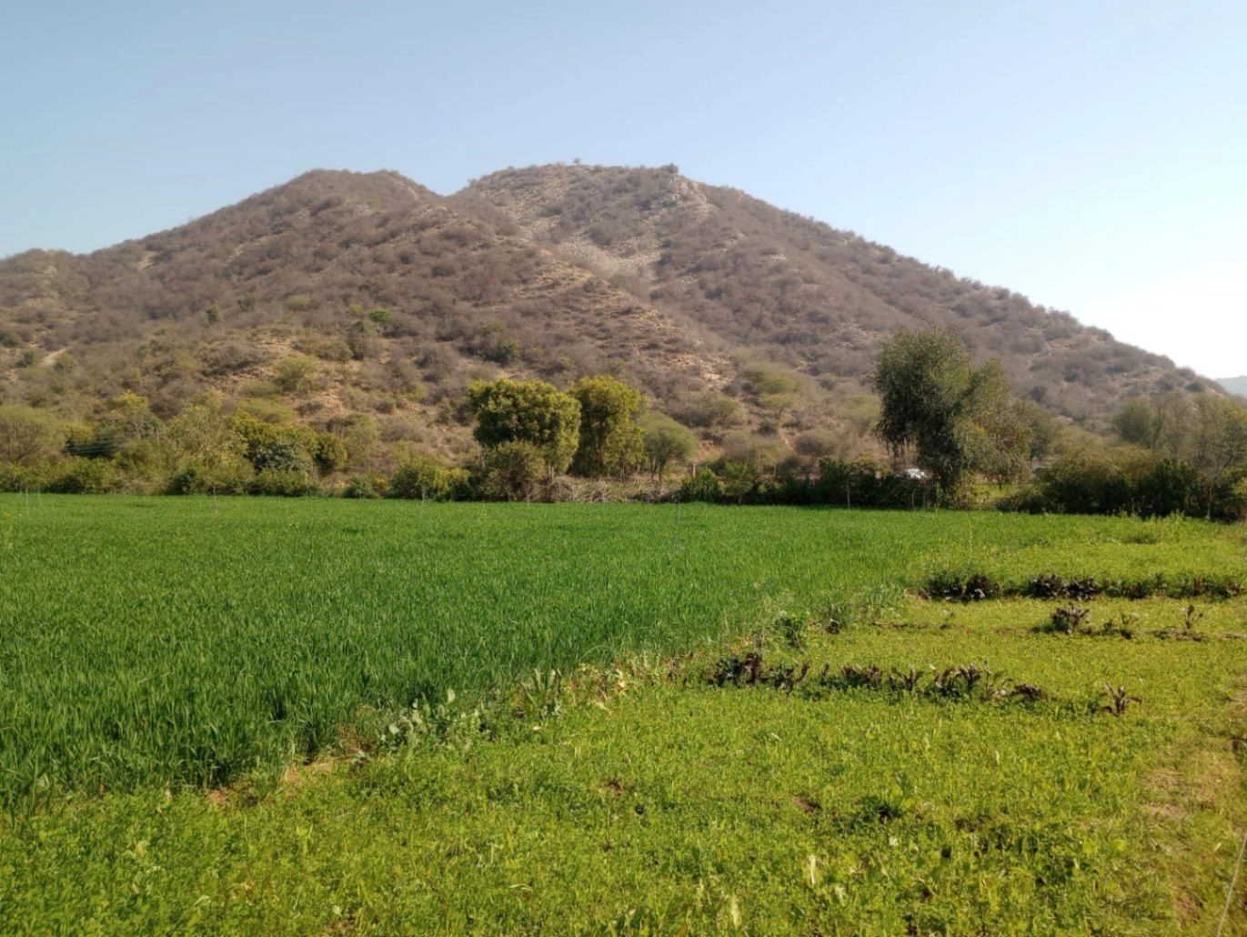 JHHF+65 Hajipur, Rajasthan, India preview 2