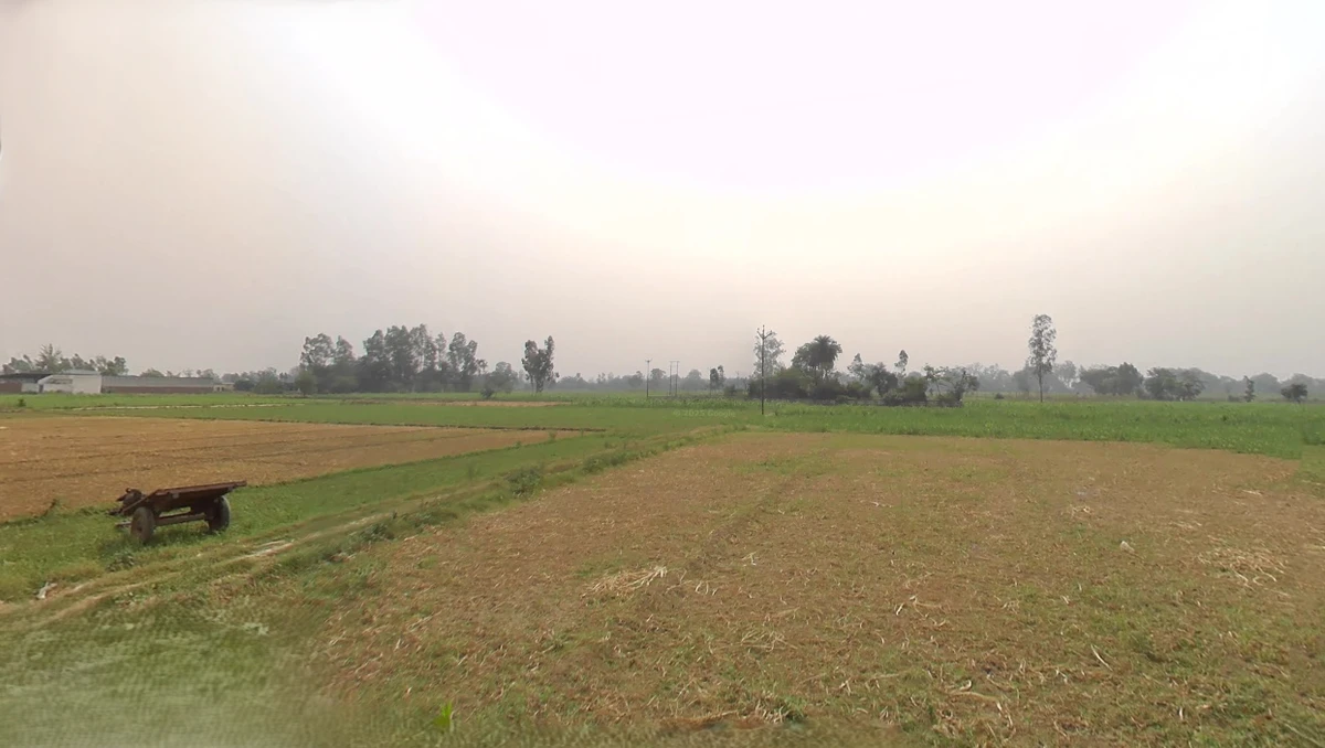 Raiwala, Uttarakhand 249205, India