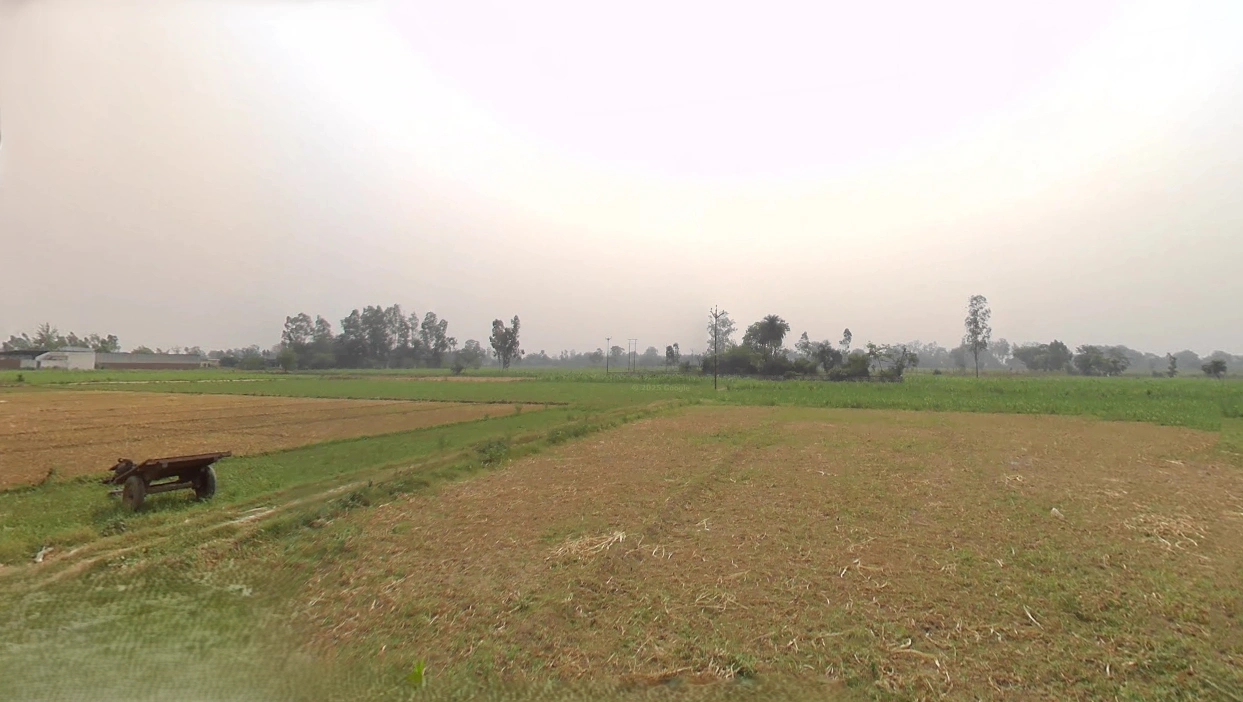 Raiwala, Uttarakhand 249205, India