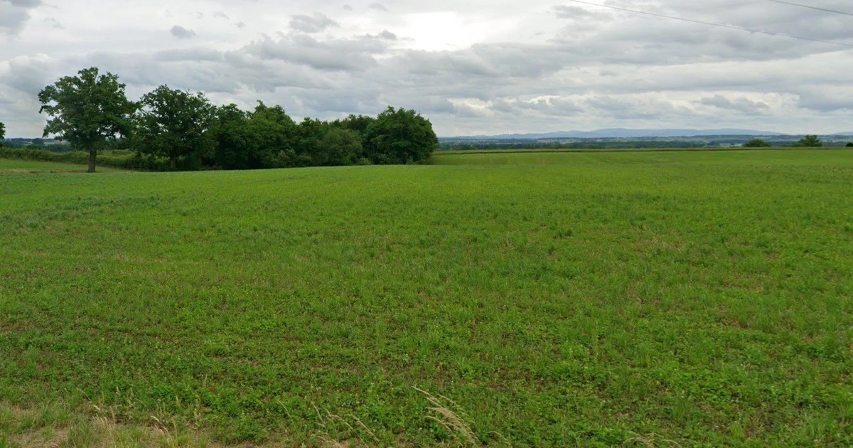 Begumganj, Madhya Pradesh, India
