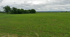 Begumganj, Madhya Pradesh, India preview 3