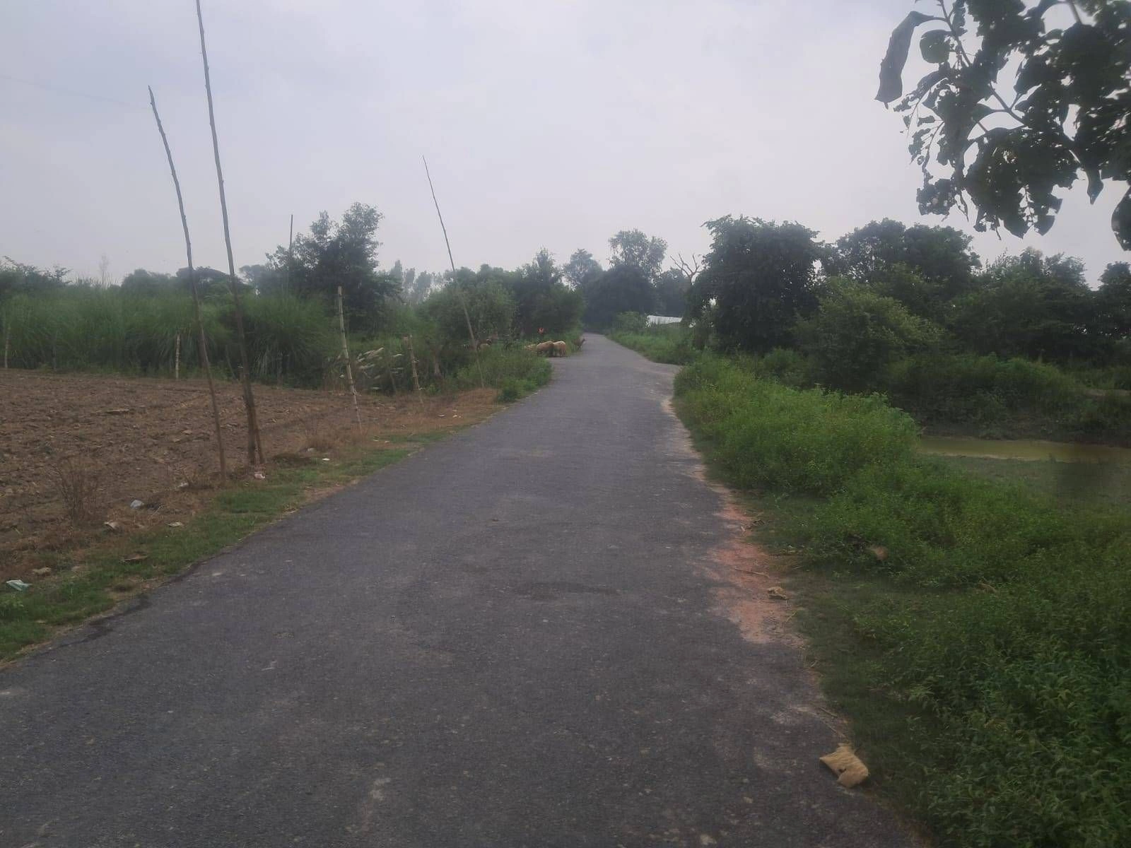 V6F7+F7J, Gonda, Ektanga, Uttar Pradesh 271319, India
