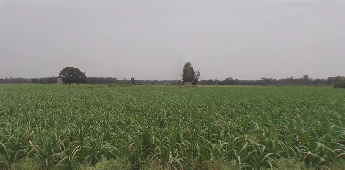 Kharar, Punjab 140301, India