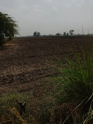 Makhdumpur, Bihar 804422, India