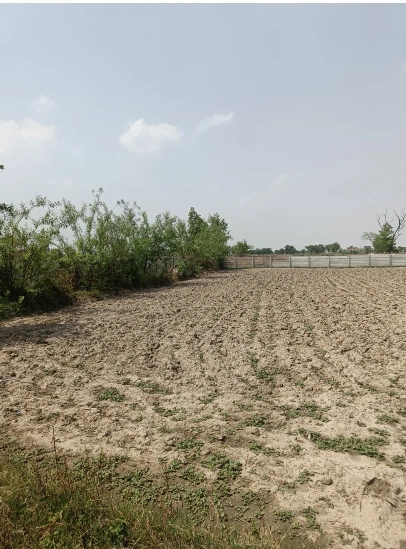 5Q2M+WX9, Ujjain, Madhya Pradesh, India preview 2
