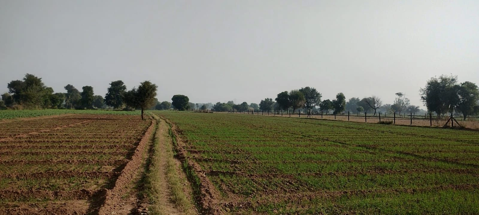 Bansur, Rajasthan, India