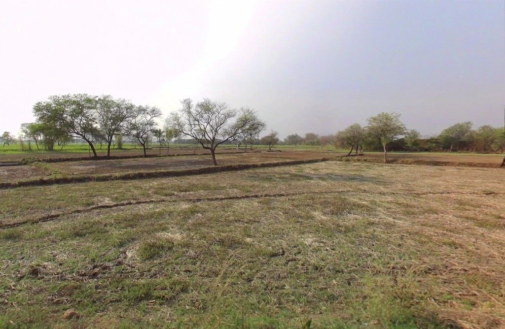 Chandan, Chhattisgarh 491335, India preview 3