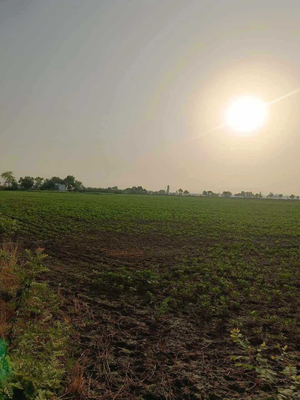 Tentigaon, Uttar Pradesh, India preview 3