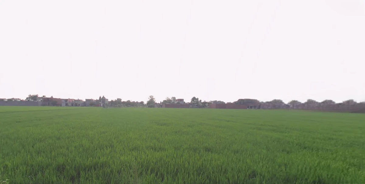 Mundian Kalan, Ludhiana, Punjab 141003, India