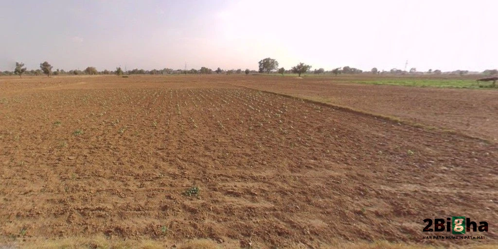 Rajgarh, Rajasthan 301408, India