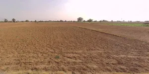 Rajgarh, Rajasthan 301408, India preview 3