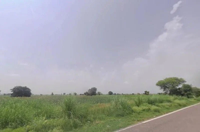 Baroda, Bhayari, Rajasthan 301021, India preview 2