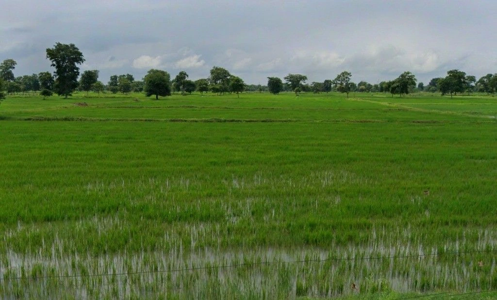 Tuma, Chhattisgarh, India