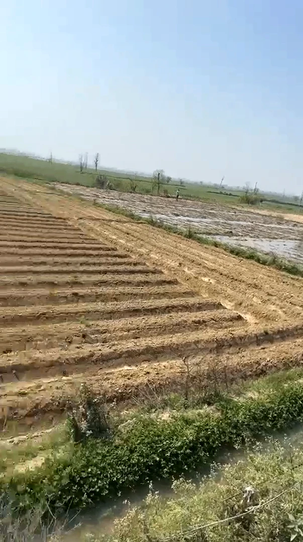 33R5+V7W, Aligarh, Barauli, Uttar Pradesh 202126, India