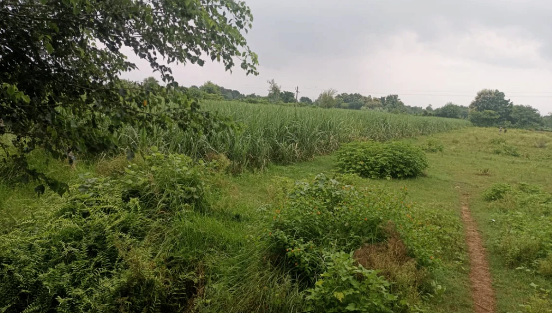 Bhinga, Sharavasti, Uttar Pradesh 271831, India