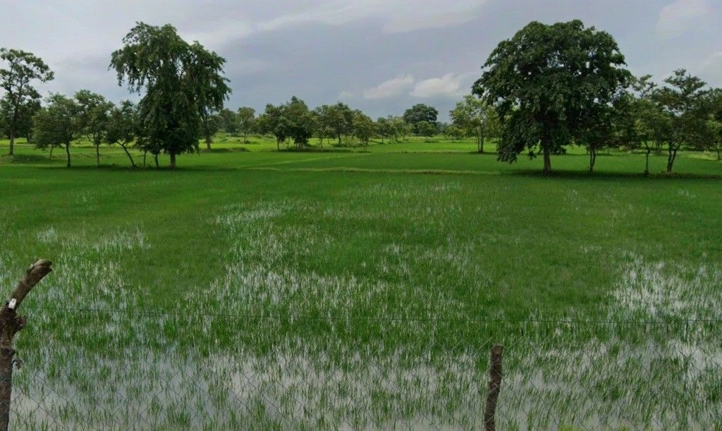 Kusmi, Chhattisgarh 491332, India preview 3