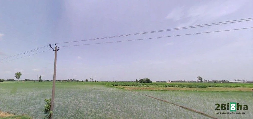 7Q8H+JRJ, Jalbera Rd, Majri, Haryana 133008, India